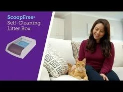 Discount ⌛ Top 10 ✨ Petsafe ScoopFree® Ultra Self-Cleaning Litter Box 🤩 🤩 -Outlet Pets Store hqdefault 2 51