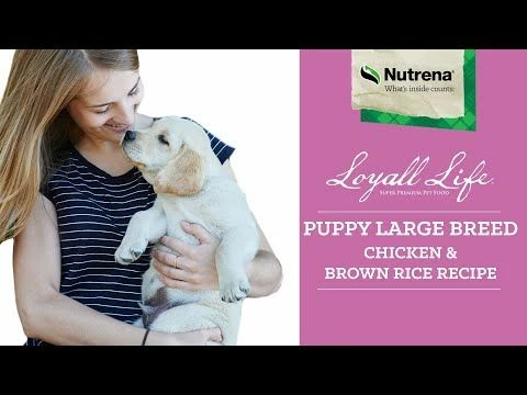 Best reviews of 🔥 Best deal 🔔 Nutrena Loyall Life® Puppy Large Breed Chicken & Brown Rice Recipe 40 Lb. 🎁 ⭐ 2 Best reviews of 🔥 Best deal 🔔 Nutrena Loyall Life® Puppy Large Breed Chicken & Brown Rice Recipe 40 Lb. 🎁 ⭐ - Image 2