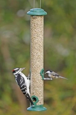Promo 💯 Flash Sale 😉 Stokes Select Seed Tube Bird Feeder 🔥 ✔️ -Outlet Pets Store image003