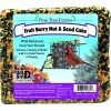 Coupon 😉 Outlet 🛒 Pine Tree Farms Fruit Berry Nut & Seed Bird Seed Cake - 2Lb. ✔️ 🌟