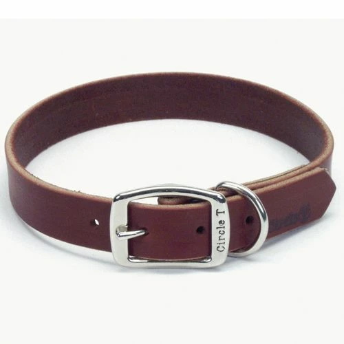 Promo ๐ Cheapest โ Circle T®Latigo Leather Town Collar ๐ฅ ๐ 1 Promo ๐ Cheapest โ Circle T®Latigo Leather Town Collar ๐ฅ ๐