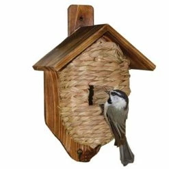 Coupon ❤️ Best Pirce 🤩 Songbird Essentials Post Mounted Grass Rooting Pocket With Roof 🧨 ❤️