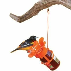 Buy 🔔 Best Pirce 🛒 Songbird Essentials Jelly/Jam Feeder 👏 🔥