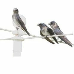 Flash Sale 😉 Cheap 🤩 Perching Station ⌛ 🛒