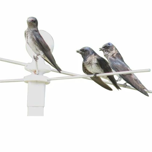 Flash Sale π Cheap π€© Perching Station β π 1 Flash Sale π Cheap π€© Perching Station β π