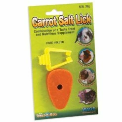 Cheapest 🔔 Buy ⭐ Carrot Salt With Holder 😀 🔔