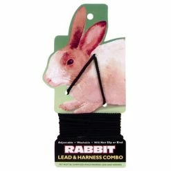 Budget 🤩 Top 10 😍 Small Animal Harness For Rabbits 🧨 ⌛