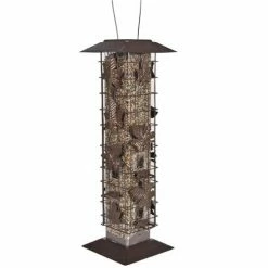 Best Sale ⌛ Cheap 🔥 Perky Pet Squirrel Be Gone 2 Bird Feeder 🎉 😍