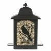 Cheap 🎁 Discount 🥰 Perky Pet Birds & Berries Lantern Bird Feeder 🔔 ✔️