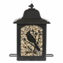 Cheap 🎁 Discount 🥰 Perky Pet Birds & Berries Lantern Bird Feeder 🔔 ✔️