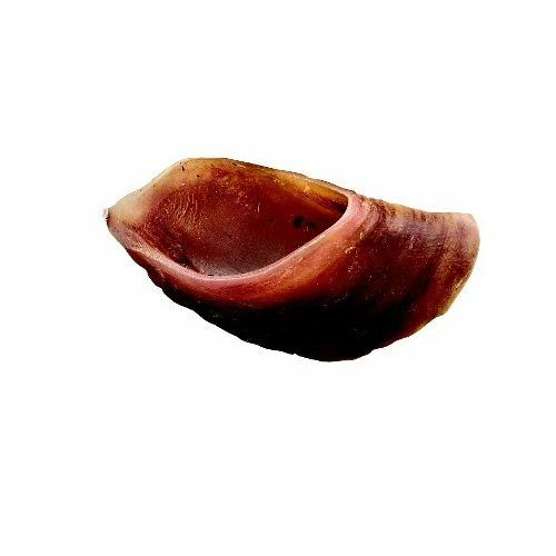 Best Pirce ๐ Best deal โ๏ธ Country Butcher Beef Hoof ๐ฆฎ ๐ถ Dog Treat โค๏ธ ๐ 1 Best Pirce ๐ Best deal โ๏ธ Country Butcher Beef Hoof ๐ฆฎ ๐ถ Dog Treat โค๏ธ ๐