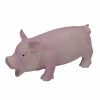Coupon 🤩 Coupon ⭐ Rascals Grunting Pig Latex 🐶 🐶 Dog Toy 🤩 🛒