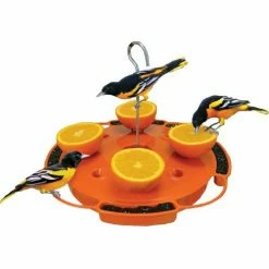 Outlet 🎉 Promo 🎁 Songbird Essentials Ultimate Oriole Feeder 👍 🎁