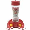 Promo 😍 Best Sale ✨ Perky Pet Hummingbird Feeder/Perch - 8 Oz 👍 🔥