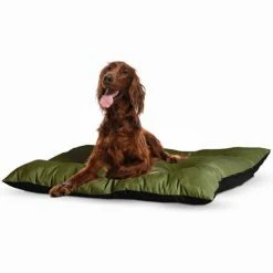 Buy 💯 New ⭐ Thermo Bed Large 🥰 🥰