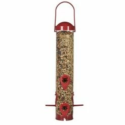 Promo 🎁 New 💯 Perky Pet 2-In-1 Wild Bird Feeder 🤩 🔔