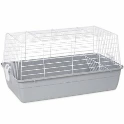 Best deal ❤️ Outlet 🎉 Prevue Pet Products Carina Small Animal Home ✨ 🔥