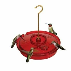 Flash Sale 🤩 Cheap 🤩 Songbird Essentials Hummingbird Haven 👏 🔔