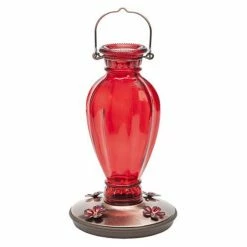 Coupon ✔️ Cheap ✔️ Perky Pet Daisy Vase Vintage Hummingbird Feeder 😉 💯