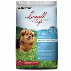 Budget 🎁 New 🧨 Loyall Life® Lamb & Rice 🐕 🐕 Dog Food - 40 Lb. ⌛ 🥰