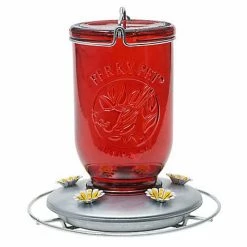 Buy 👏 Deals 🔥 Perky Pet Red Mason Jar Glass Hummingbird Feeder 🔥 🔔