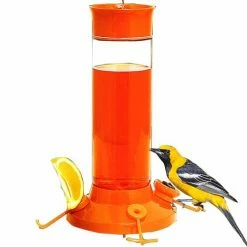 Deals 🥰 Coupon 😀 Perky Pet Oriole Glass Feeder 30 Oz. ⭐ 👏
