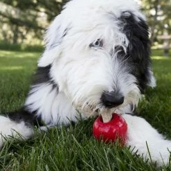 Budget 🔔 Outlet ⌛ Kong Large Ziggies 🐕 🐕 Dog Treats 🌟 ✔️