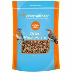 Top 10 ❤️ Discount 🤩 Valley Splendor Dried Mealworms ✔️ 😉