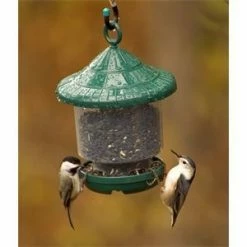 Best deal ✔️ Discount 🎉 Clingers Only Bird Feeder 😍 🎉