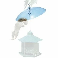 Outlet 💯 Deals 👍 Perky Pet Clear Squirrel Baffel 😀 🎁