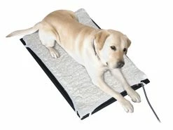 Best Sale 👍 Wholesale 🌟 Farm Innovators Large Heated Pet Mat 🛒 👍