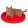 Best deal 👍 Best reviews of 🥰 Fashion Splash Thermo Kitty Bed ⭐ 👍