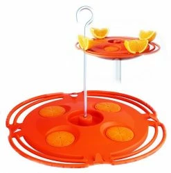 Discount 🛒 Cheapest 😉 Perky Pet Oriole Feeder - 16 Oz 👍 🎁