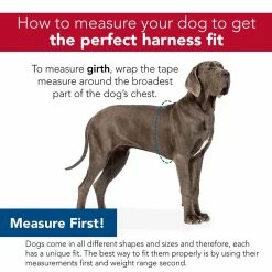 Budget 🔔 Coupon 🌟 Coastal Pet Comfort Wrap® Adjustable 🐶 🦮 Dog Harness 🧨 🤩 -Outlet Pets Store mas00067